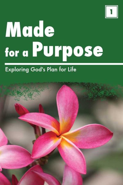 Made for a Purpose (PDF)